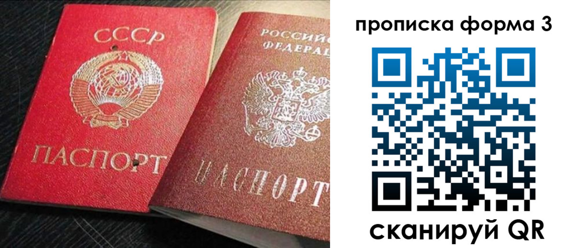 временная регистрация поиск в Жукове